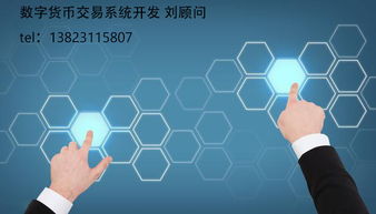 Q幣的分類與數字技術服務